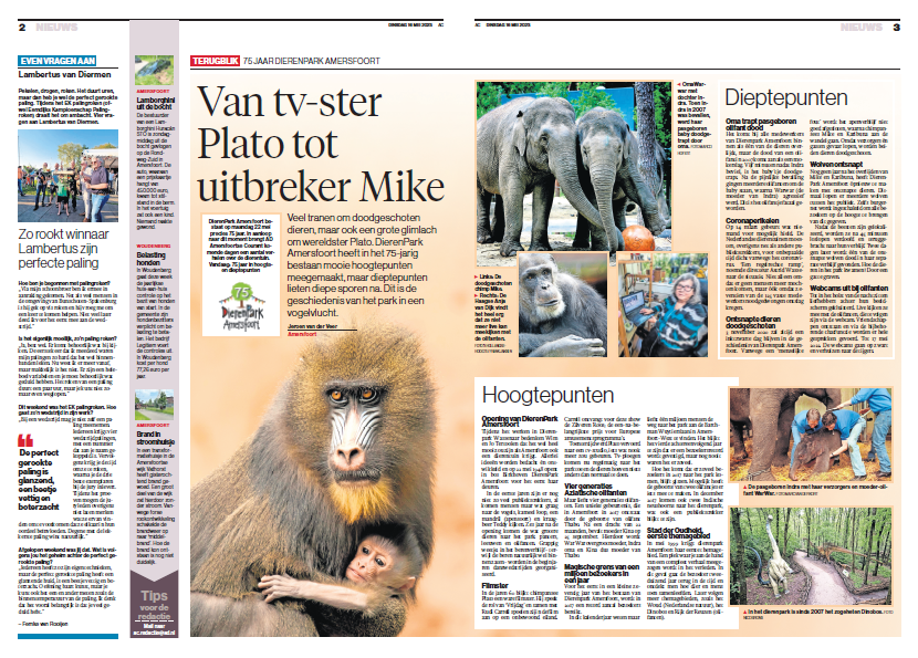 Digital & print design