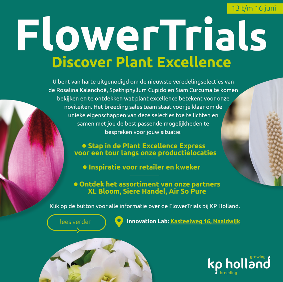 Digital and textual design