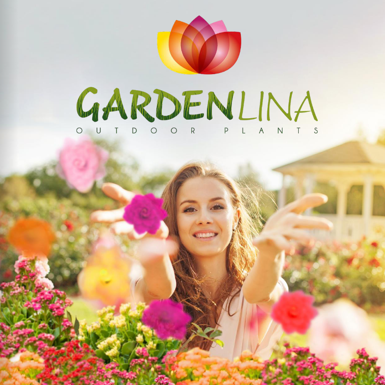 Digital, print and textual design_brochure