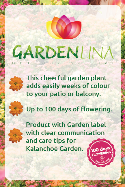 Digital, print and textual design